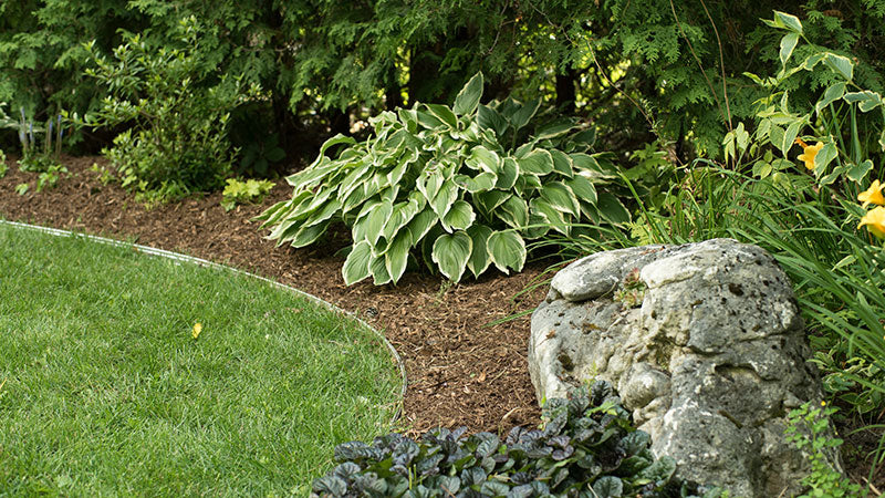 EURO SLIDE GARDEN EDGING - 8' BLACK